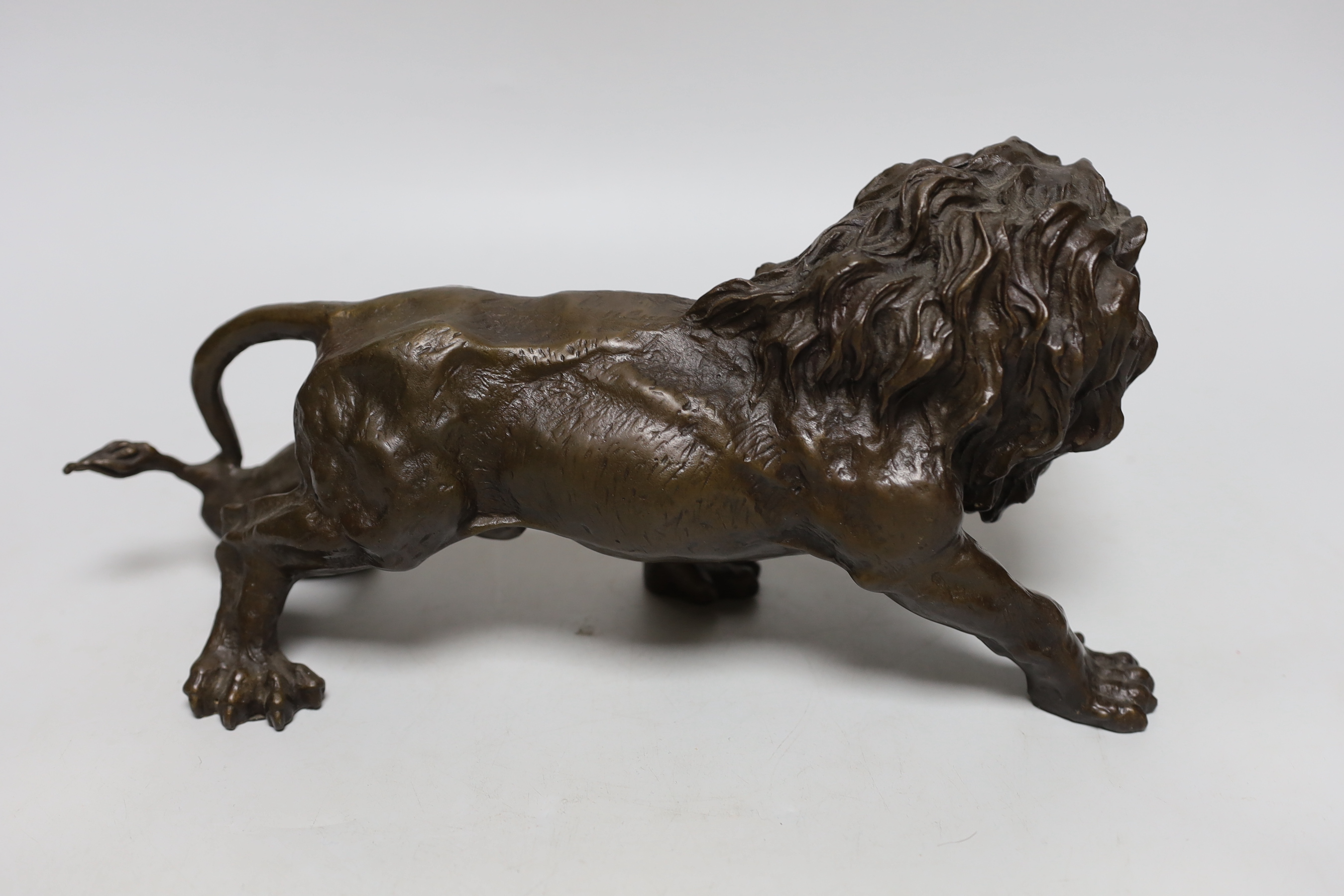 A hollow cast bronze model of a lion, 33cm long